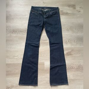 Hudson Dark Wash Flares